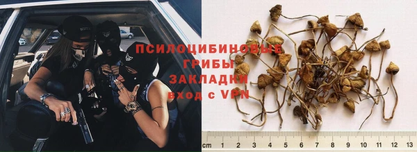 винт Володарск