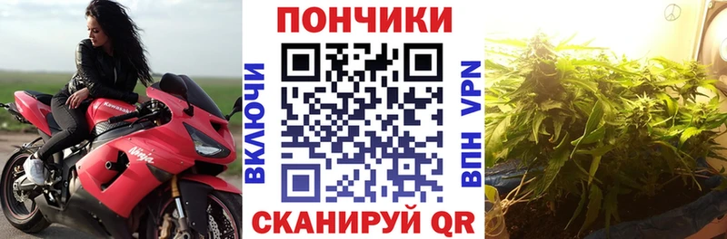 Купить  Грайворон  Канабис марихуана 